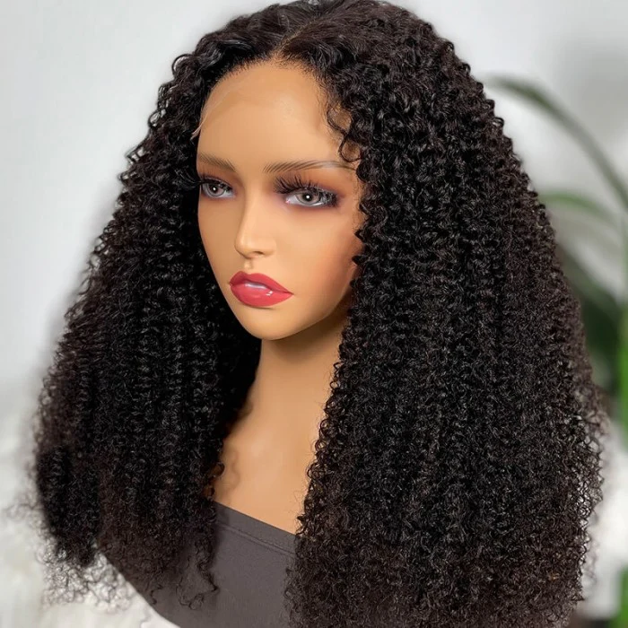 QVR Pre-plucked Undetectable 13x4/4x4/13x6 Transparent Lace Frontal Wig Kinky Curly Human Hair Wig - Image 5